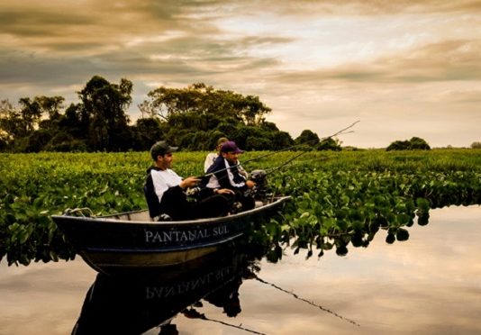 “Cota zero” para pesca amadora é preservação do meio ambiente e fomento ao turismo