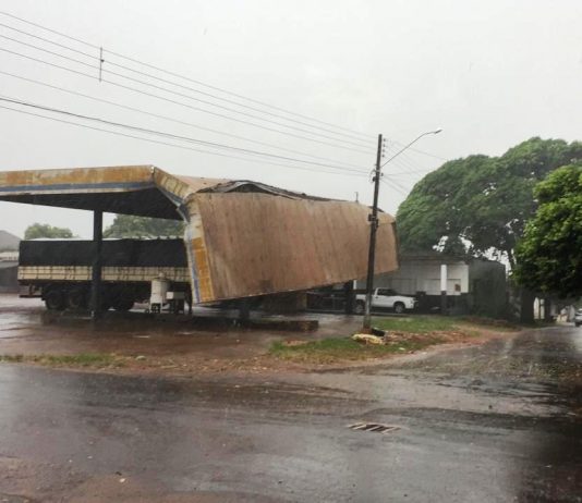Temporal derruba árvores e deixa parte de Mundo Novo sem energia