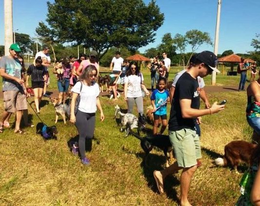 Cãominhada lotou Parque Antenor Martins em Dourados e repercute bem