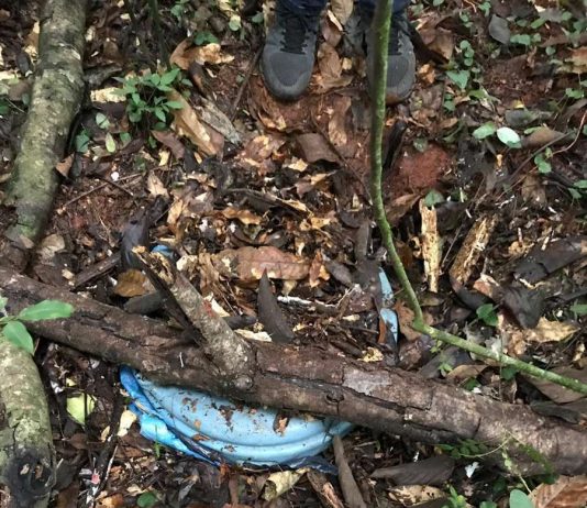 Dourados: Dono de “boca” é preso e polícia descobre depósito em mata no Estrela Porã