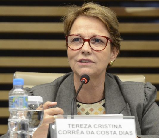 Economia: Peste suína africana pode ampliar venda de carne de porco do Brasil para a China