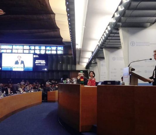 Ministra quer menos protecionismo para fortalecer a agricultura mundial