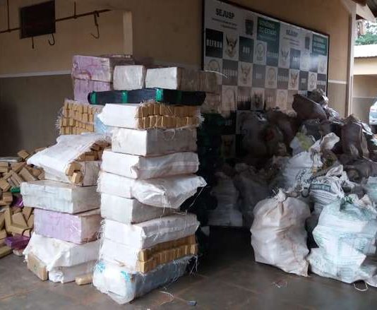 Polícia apreende mais de 4 toneladas de maconha em fazenda na região de Amambai