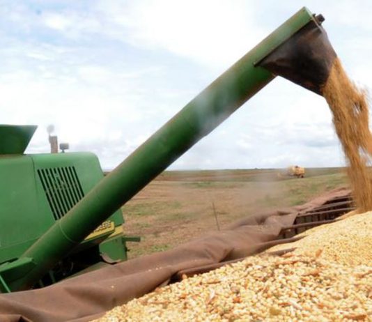 BNDES disponibiliza R$ 23 bilhões para Plano Safra 2019/2020