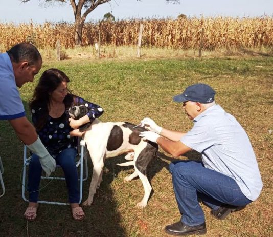 Visa de Itaquiraí fará vacinação de cães e gatos nos assentamentos rurais do município