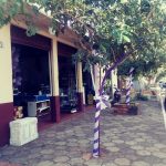 IMG-20190809-WA0071