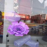 IMG-20190809-WA0073