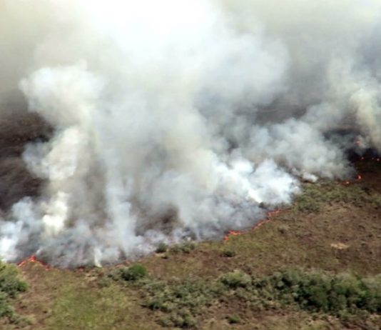 Incêndio atinge quase metade do Parque Nacional de Ilha Grande
