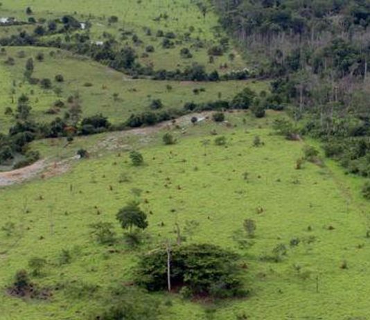Começa hoje prazo para entrega da declaração de propriedade rural