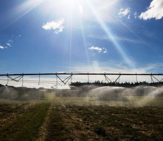 Novas tecnologias digitais auxiliam a produção no campo