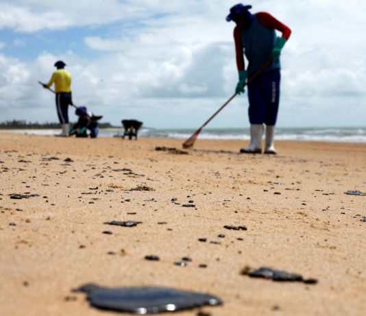 Mais de 525 toneladas de resíduos foram retiradas de praias com óleo