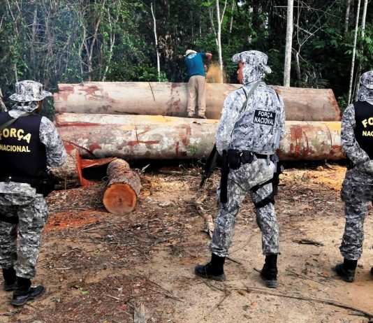 Força Nacional atuará por mais 180 dias no combate ao desmatamento