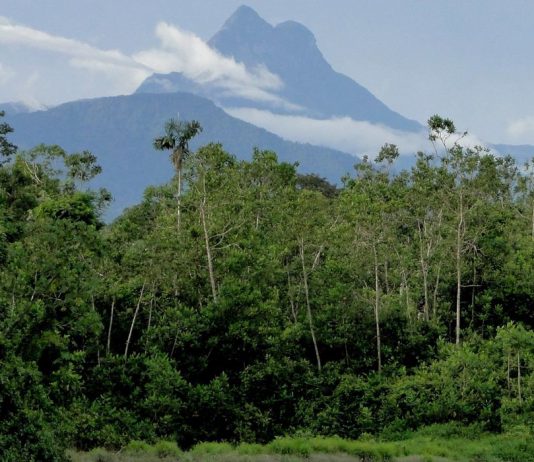 TURISMO: ICMBio determina reabertura de unidades de conservação federais