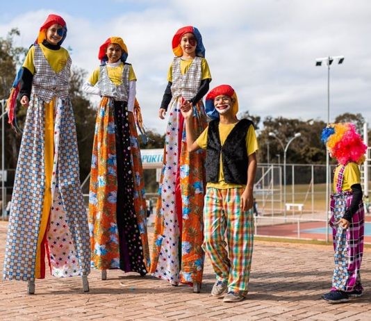 Site da FCMS vai disponibilizar plataforma para auxílio emergencial aos artistas de MS