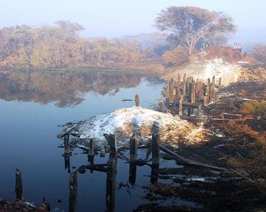 CORUMBÁ: incêndios atingem Estrada-Parque, onde ponte de madeira de 70m virou cinzas