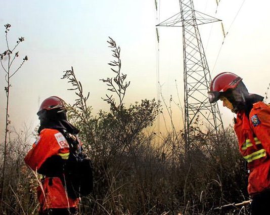 MEIO AMBIENTE: com reforço dos bombeiros do PR, força-tarefa retoma combate às queimadas no Pantanal da Nhecolândia