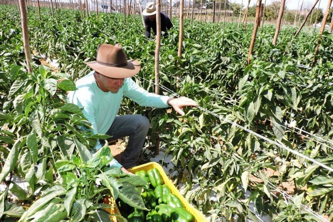 agricultura familiar