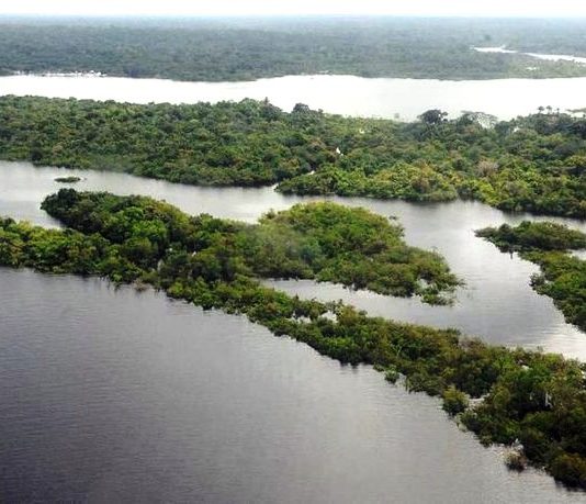 MEIO AMBIENTE: Brasil lança programa de incentivo à preservação ambiental
