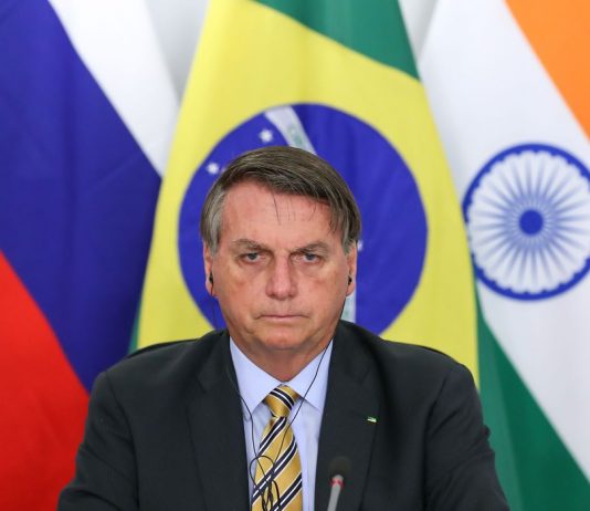 Bolsonaro: Brasil divulgará lista de importadores de madeira ilegal
