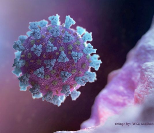 COVID-19: Brasil tem 6,6 milhões de casos e 176,9 mil mortes