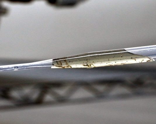 MOSQUITO WOLBITO: Governo do MS inaugura Biofábrica e lança “exército” para combater Dengue, Chikungunya e Zika