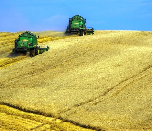 Brasil terá a maior produção de grãos da história, confirma CONAB