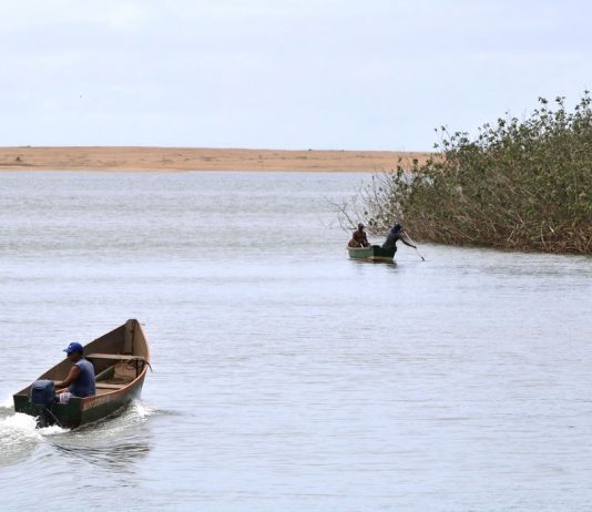 Mariana: pesquisadores encontram metais tóxicos em peixes do Rio Doce