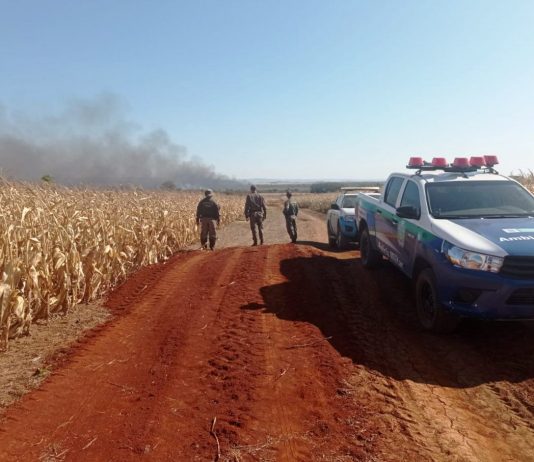 PMA de Bonito identifica o ponto inicial do incêndio no banhado do rio da Prata