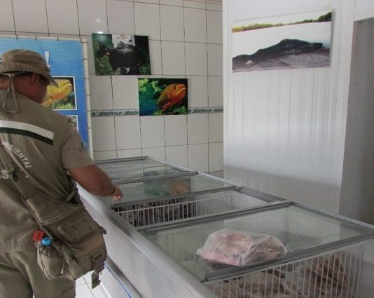 Operação Piracema: fiscalização de peixarias e restaurantes começa nesta segunda-feira