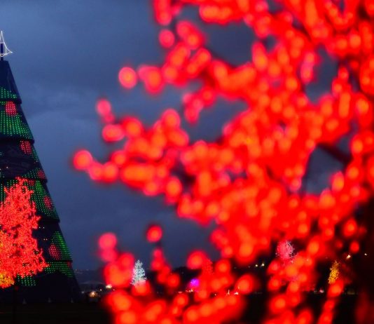 Hoje é Dia: Natal e solstício de verão são destaques
