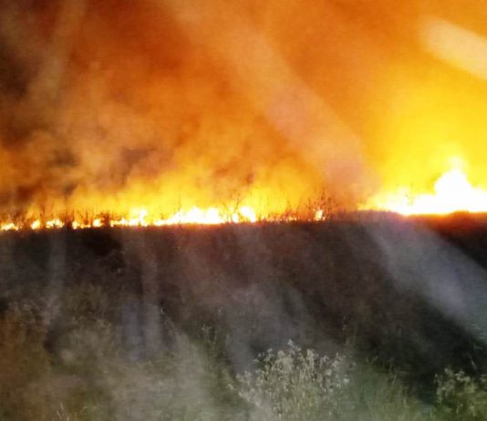 Prefeitura e Bombeiros combatem incêndio no Parque Natural Municipal de Naviraí