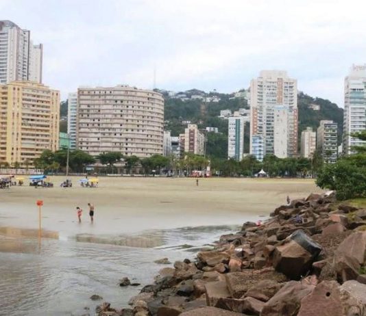 Começa a valer em Santos, desde hoje, lei que permite cachorros na praia