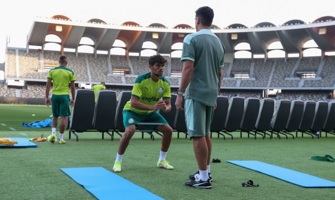 palmeiras