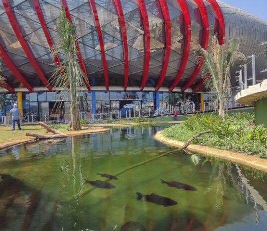Maior aquário de água doce do mundo, Bioparque Pantanal é concluído por “Obra Inacabada Zero”