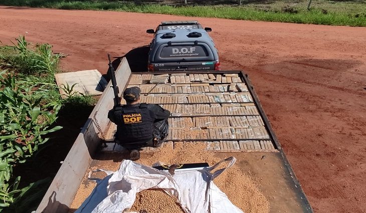DOF-apreensão-de-maconha-730x425