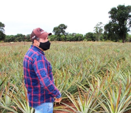 Governo Federal planeja entregar mais 50 mil de títulos de propriedades rurais da reforma agrária