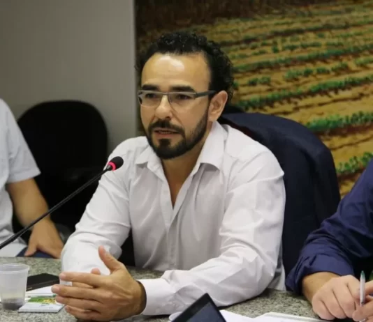 Decepcionante, avalia Associação dos Produtores de Soja de MS após queda de 35% na safra 21/22