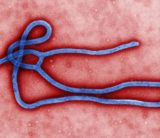 Novo surto de ebola atinge a República Democrática do Congo