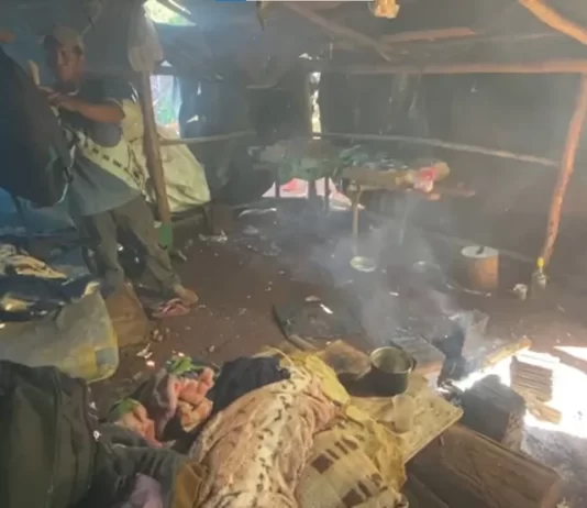 Comendo passarinhos, jovens indígenas são resgatados em situação análoga à escravidão em fazenda