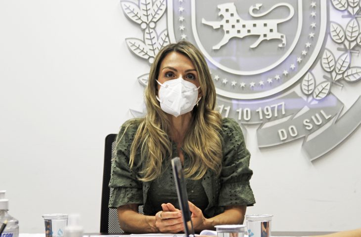 Reuniao-CONLEG-Ana-Carolina-Ali-Garcia-Foto-Saul-Schramm-1-730x480