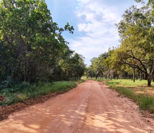 BONITO recebe R$ 1,5 milhão do Governo do Estado para restaurar estrada que leva a trilhas e cachoeiras