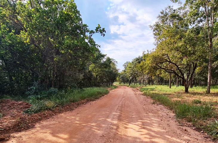 estrada-bonito-01-730x480