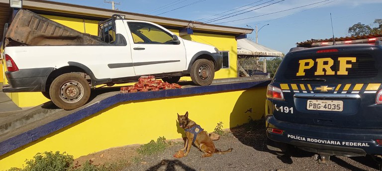 APREENSÕES