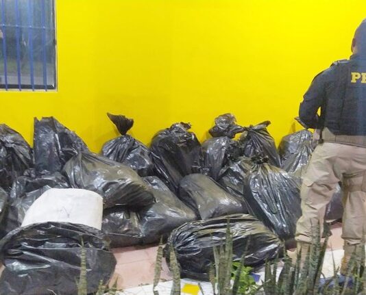 Homem é detido com 290 Kg de maconha em Arcoverde