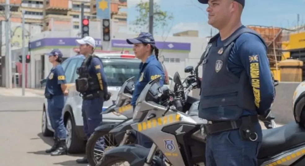 novo33