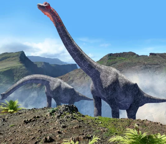 Enorme dinossauro saurópode é descoberto em Portugal