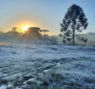 frio br