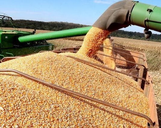 RECORDE: Safra de soja atinge marca histórica de 15 milhões de toneladas