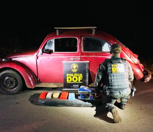 DOF apreende em Fusca que seguia para o Rio Grande do Sul quase R$ 340 mil em drogas