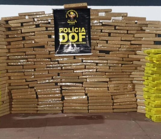 DOF apreende maconha que seria levada para Nova Andradina